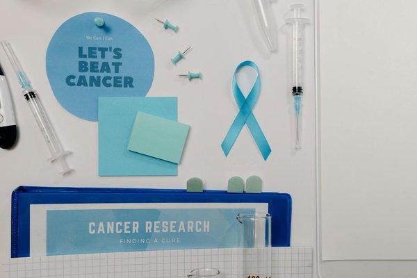 Découvertes récentes dans la combat contre l'obésité : un regard fascinant